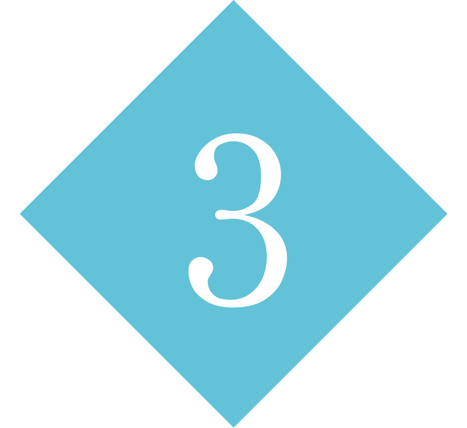 no3